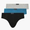 Pack of 3 Briefs - NETPLAY Multicoloured